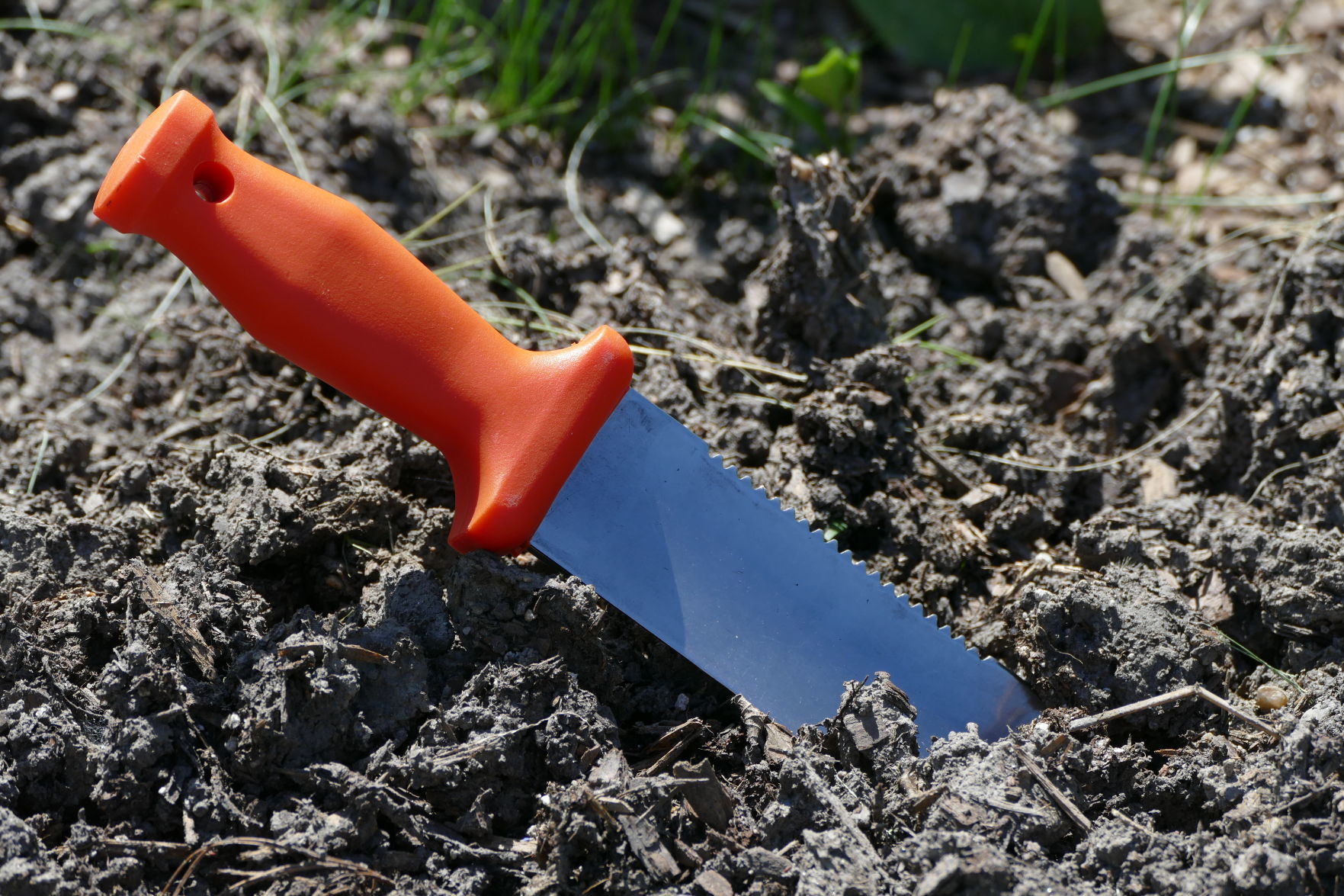 gardentoolluaritzen.jpg